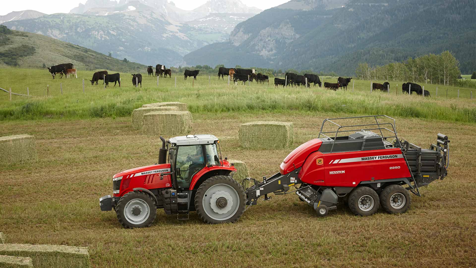 Massey Ferguson 20 Series Shantz Farm Equipment